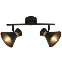 Точечный светильник Arte Lamp Baltimore A1406AP-2BK