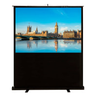 Проекционный экран CACTUS FloorCompactExpert 68x120 CS-PSFLCE-120X68