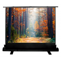 Проекционный экран CACTUS FloorExpert 135x180 CS-PSFLE-180X135