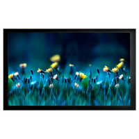 Проекционный экран CACTUS FrameExpert 113x200 CS-PSFRE-200X113