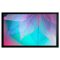 Проекционный экран CACTUS FrameExpert 124x220 CS-PSFRE-220X124