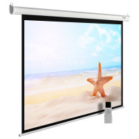 Проекционный экран CACTUS MotoExpert 220x138 CS-PSME-220x138-WT