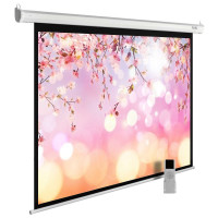 Проекционный экран CACTUS MotoExpert 220x220 CS-PSME-220x220-WT