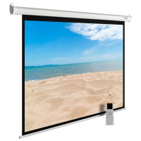 Проекционный экран CACTUS MotoExpert 240x180 CS-PSME-240x180-WT