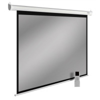 Проекционный экран CACTUS SIlverMotoExpert 150x240 CS-PSSME-240X150-WT