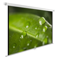 Проекционный экран CACTUS WallExpert 200x150 CS-PSWE-200x150-WT