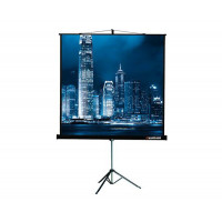 Проекционный экран Lumien Master View 203x203 (LMV-100109)