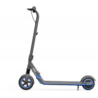 Электросамокат Ninebot Zing E10 (черный)