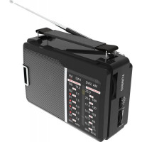 Радиоприемник Ritmix RPR-190