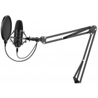 Микрофон SunWind SW-SM400G