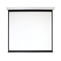 Проекционный экран Digis Electra-F 186x189 DSEF-1105