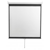 Проекционный экран Digis Optimal-D 248x249 DSOD-1107