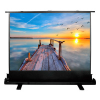 Проекционный экран CACTUS FloorExpert 113x200 CS-PSFLE-200X113