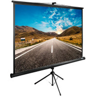 Проекционный экран CACTUS TriExpert 160x160 CS-PSTE-160x160-BK