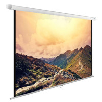 Проекционный экран CACTUS WallExpert 180x120 CS-PSWE-240x180-WT