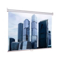 Проекционный экран Lumien Eco Picture 220x220 LEP-100110