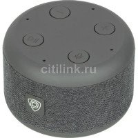 Беспроводная аудиосистема Prestigio Smartvoice (черный/серый)