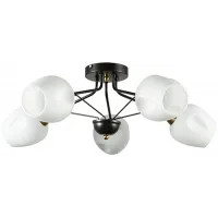 Люстра средней высоты Arte Lamp Brighton A2706PL-5CK