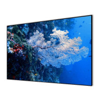 Проекционный экран CACTUS Alr Expert 151x267 CS-PSALR-267X151