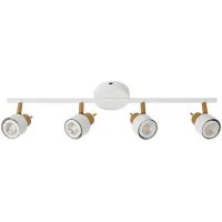 Спот Arte Lamp Almach A1906PL-4BK