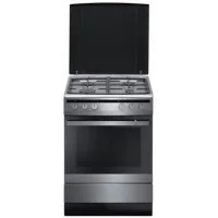 Кухонная плита Hansa FCMX68021