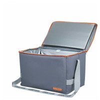 Термосумка BIOSTAL Дискавери TCP-G-Z 25л (серый)