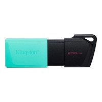 USB Flash Kingston DataTraveler Exodia M 256GB