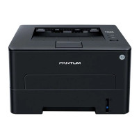Принтер Pantum P3020D