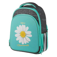 Школьный рюкзак Berlingo Expert Plus Chamomile RU07144