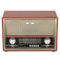 Радиоприемник Ritmix RPR-102 (бук)