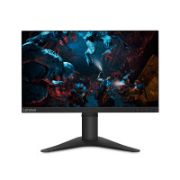 Монитор Lenovo G25-10 65FEGAC2EU