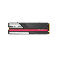 SSD Netac NV7000 2TB NT01NV7000-2T0-E4X