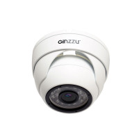 IP-камера Ginzzu HID-5301A