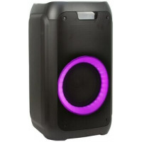 Колонка для вечеринок Eltronic 20-01 Dance Box 300