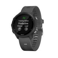 Умные часы Garmin Forerunner 245 (серый)