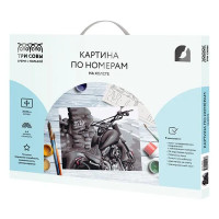 Картина по номерам Три совы Байк КХ_44123