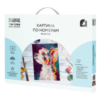 Картина по номерам Три совы Друг КХ_44175