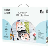 Картина по номерам Три совы Друзья КХ_44172