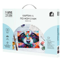 Картина по номерам Три совы Енот КХ_44174