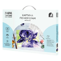 Картина по номерам Три совы Ирис КХ_44105