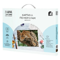 Картина по номерам Три совы Хищник КХ_44198