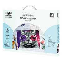 Картина по номерам Три совы Кошачий космос КХ_44089