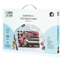 Картина по номерам Три совы Красная машина КХ_44186