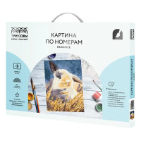 Картина по номерам Три совы Кролик КХ_44099