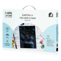Картина по номерам Три совы Мистический кот КХ_44095