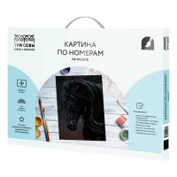 Картина по номерам Три совы Мустанг КХ_44093