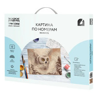 Картина по номерам Три совы Полярная сова КХ_44165