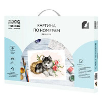 Картина по номерам Три совы Щенок хаски КХ_44143