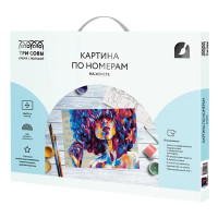 Картина по номерам Три совы Силуэт КХ_44177
