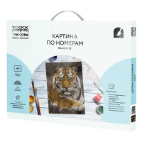 Картина по номерам Три совы Тигриная стать КХ_44159